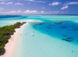 Swimming the Crystal Waters of the Blue Lagoon