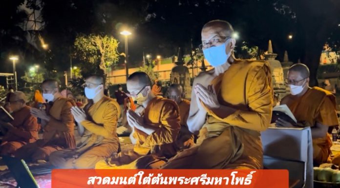 เจริญพระพุทธมนต์ใต้ต้นพระศรีมหาโพธิ์ ร่วมถวายพระพรชัยมงคลสมเด็จพระเจ้าลูกเธอ เจ้าฟ้าพัชรกิติยาภาฯ