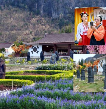“วอนแดซอง”เกาหลีก็แค่เมืองกาญจน์ 원대성 สวนไม้ดอกนานาพรรณ สไตล์เกาหลี @กาญจนบุรี 