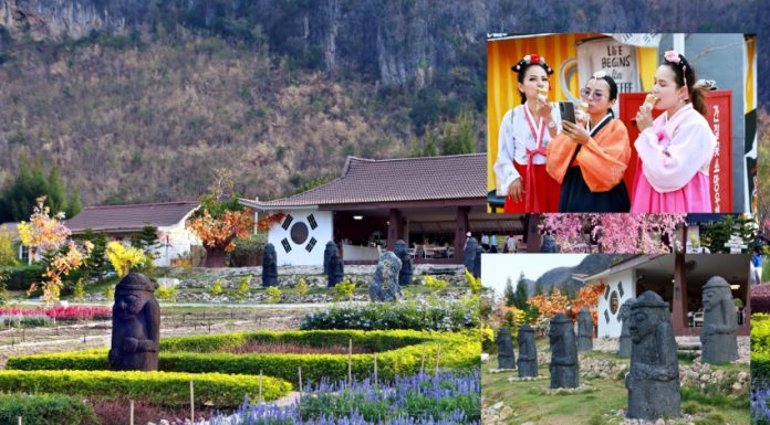 “วอนแดซอง”เกาหลีก็แค่เมืองกาญจน์ 원대성 สวนไม้ดอกนานาพรรณ สไตล์เกาหลี @กาญจนบุรี 