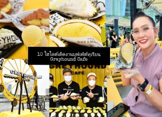 10 ไฮไลต์เด็ด ที่คนรักทุเรียนห้ามพลาด! กับ บุฟเฟต์ทุเรียนเกรฮาวด์ #Kin Durian Gun hair Goldfinger2