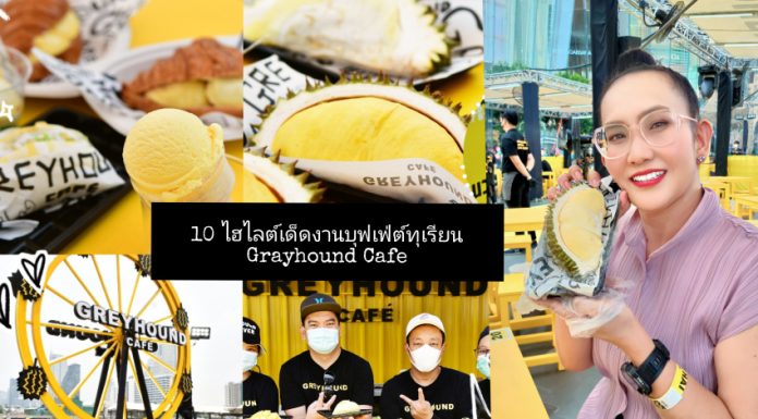 10 ไฮไลต์เด็ด ที่คนรักทุเรียนห้ามพลาด! กับ บุฟเฟต์ทุเรียนเกรฮาวด์ #Kin Durian Gun hair Goldfinger2