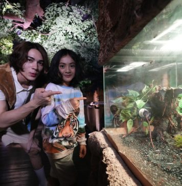 SEA LIFE Bangkok ชวนผู้กล้าบุกป่าดิบชื้น โฉมใหม่ ชม 9 สัตว์แปลก! “สำรวจความมหัศจรรย์สุดมันส์กับป่า Rainforest”