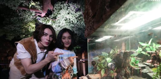 SEA LIFE Bangkok ชวนผู้กล้าบุกป่าดิบชื้น โฉมใหม่ ชม 9 สัตว์แปลก! “สำรวจความมหัศจรรย์สุดมันส์กับป่า Rainforest”