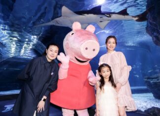 ซีไลฟ์ แบงคอก ชวนออกผจญภัยครั้งใหม่ใต้ท้องทะเลสุดมหัศจรรย์กับเป๊ปป้าหรรษา