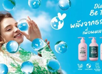 Both You and The Earth will Love Diane Be True for every one Beautify Your Hair with The Power of Nature “พลังจากธรรมชาติ เพื่อผมสวยในแบบคุณ”
