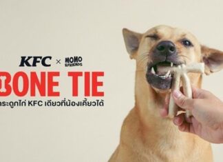ครั้งแรกของโลก! KFC BONE TIE ขนมขัดฟันแปรรูปจากกระดูกไก่ KFC กระดูกไก่ KFC เดียวที่น้องเคี้ยวได้ เซอร์ไพรส์วันมะหมาโลก