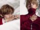“วี V BTS” เผยความสง่างามของคอลเลคชั่น Panthère de Cartier ถ่ายทอดจิตวิญญาณของเสือแพนเตอร์ได้อย่างสมบูรณ์แบบ