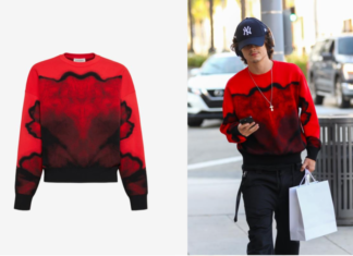TIMOTHEE CHALAMET WEARING ALEXANDER MCQUEEN