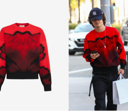 TIMOTHEE CHALAMET WEARING ALEXANDER MCQUEEN