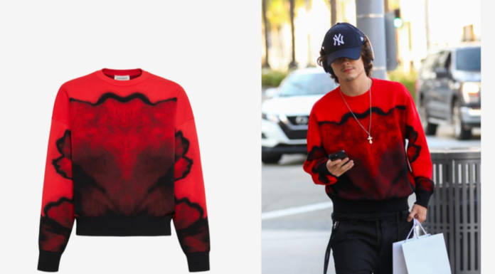 TIMOTHEE CHALAMET WEARING ALEXANDER MCQUEEN