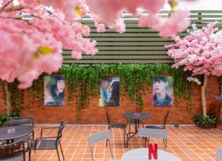 Netflix เปิดตัวซีรีส์ ดูนา ไอดอลสาวข้างบ้าน (Doona!)