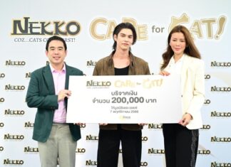 Nekko Care for Cat ส่งต่อความรักไปสู่น้องแมวไร้บ้าน