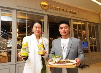 Healthy Meal Group มอบประสบการณ์มื้ออร่อยสุขภาพดี ในแคมเปญ ‘Taste of Celebrations’ จับมือ Lobster & More เนรมิต 7 เมนูพิเศษ ต้อนรับเทศกาลแห่งความสุข