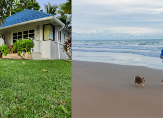 โรงแรมบัญดารา ออนซี ระยอง เอาใจคนรักสัตว์ เปิด package – Pet Friendly เดินหน้ายกระดับสู่ Eco Friendly Hotel
