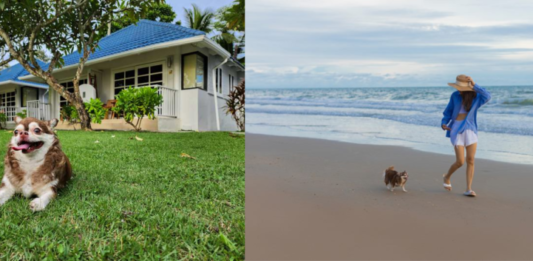โรงแรมบัญดารา ออนซี ระยอง เอาใจคนรักสัตว์ เปิด package – Pet Friendly เดินหน้ายกระดับสู่ Eco Friendly Hotel