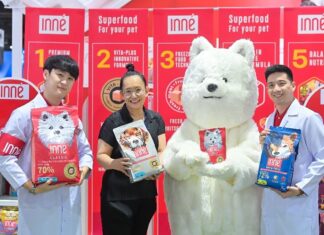 “inne” ทางเลือกใหม่ของ ทาสหมา ทาสแมว…ผลิตภัณฑ์อาหารสัตว์เลี้ยงระดับพรีเมียม ด้วยคอนเซปต์ Superfood