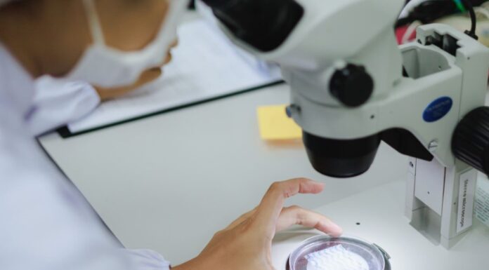 ครั้งแรกของโลก… ทำความรู้จักกับน้ำมันสกัด BIO.P7 นวัตกรรมใหม่แห่งวงการดูแลผิว