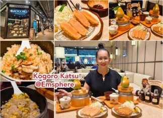 รีวิว Kogoro Katsu – โคโกโระคัตสึ ชิมข้าวหุงด้วยน้ำแร่ และรสชาติแห่งความอร่อยจากเมืองนีงาตะ