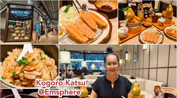 รีวิว Kogoro Katsu – โคโกโระคัตสึ ชิมข้าวหุงด้วยน้ำแร่ และรสชาติแห่งความอร่อยจากเมืองนีงาตะ