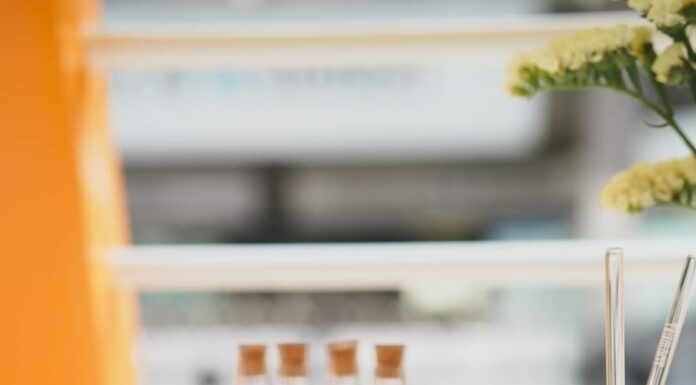 Garnier จัดงานเปิดตัวเซรั่มวิตซีโฉมใหม่บูสผิวกระจ่างใสเหนือกว่าเดิม!
