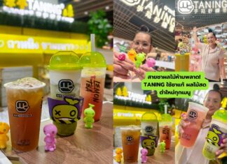 Taning – ร้านชามะนาว ชาผลไม้สด ตำสดทุกแก้ว อร่อยไม่ซ้ำใคร!