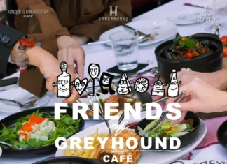 “ความสนุกที่ไม่มีที่สิ้นสุดใน Friends of Hound 2024 กับ Greyhound Cafe’”