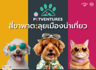 ททท. เปิดตัวโครงการ “Petventures สี่ขาพาตะลุยเมืองน่าเที่ยว” ชวน Pet Parent พามะหมาและแมวเหมียวเที่ยวไทยกันต่อ!!! ด้วยดีลเด็ด ๆ และโปรโมชั่นสุดพิเศษ
