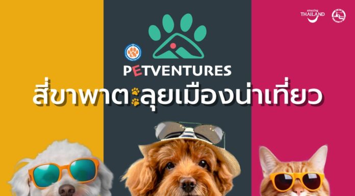 ททท. เปิดตัวโครงการ “Petventures สี่ขาพาตะลุยเมืองน่าเที่ยว” ชวน Pet Parent พามะหมาและแมวเหมียวเที่ยวไทยกันต่อ!!! ด้วยดีลเด็ด ๆ และโปรโมชั่นสุดพิเศษ
