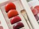 สัมผัสสีสันสุดละมุนดุจความฝันกับบลัชใหม่ล่าสุดจาก Rare Beauty – Soft Pinch Matte Bouncy Blush