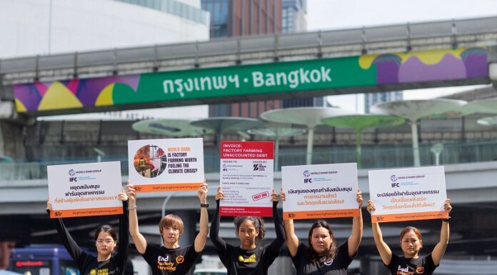 ไทยร่วมส่งเสียงอันทรงพลังกับเครือข่ายกว่า 270 องค์กรทั่วโลก เรียกร้องธนาคารโลกหยุดสนับสนุนฟาร์มสัตว์อุตสาหกรรม