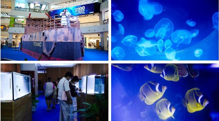 ชวนสำรวจซากเรือไททานิค สัมผัสโลกใต้ท้องทะเลสุดอัศจรรย์ ในงาน 12,000 Feet Deep : ณ สุดพื้นบาดาล ที่ ซีคอน บางแค
