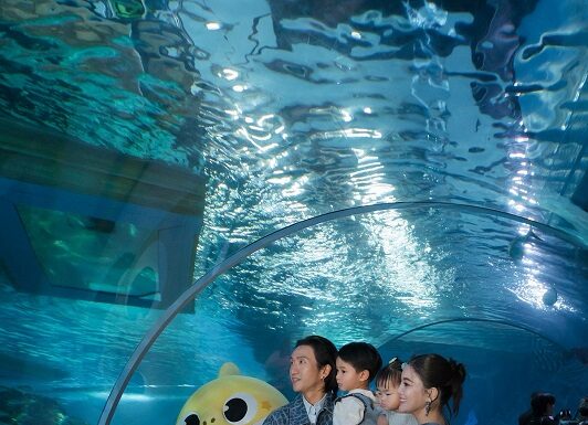 ซีไลฟ์ แบงคอก เปิดเคมเปญใหม่! พร้อมเสิร์ฟ Baby Shark Deep Sea Carnival สีสันแห่งความสนุกสุดแฟนตาซี