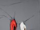 Camper จับมือกับ Issey Miyake ร่วมออกแบบรองเท้าที่มีชื่อว่า Peu Form