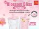 แมคโดนัลด์ เปิดตัวแก้วคอลเลคชั่นใหม่สุดคิ้วท์! ‘Blossom Bliss Tumbler’ สีหวาน สุดละมุน