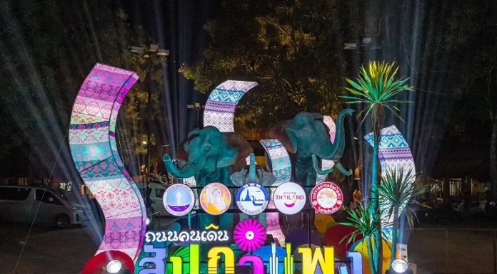 “เชียงใหม่ Night Market” เนรมิตถนนคนเดิน “ท่าแพ – สันกำแพง” ด้วย Light Installation – Mapping