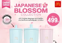 ใหม่! แมคโดนัลด์ เปิดตัว ‘Japanese Blossom’ แก้วคอลเลคชั่นซากุระ กับ 3 โทนสีพาสเทลสุดเอ็กซ์คลูซีฟ