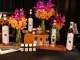 SILPIN เปิดโลก “รสและกลิ่นไทย” ผ่านมุมมองใหม่ สู่ Flavour Experience Design House ที่พา Thai Flavours ก้าวสู่ Luxury Lifestyle