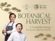 เซียนหยวน จับมือเชฟโบ Bo.lan เปิดตัว “BOTANICAL HARVEST” ยกระดับอาหารเจกวางตุ้ง ด้วยวัตถุดิบท้องถิ่นไทย